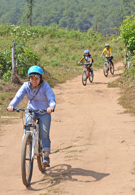 VTT dans un parc national en Thailande