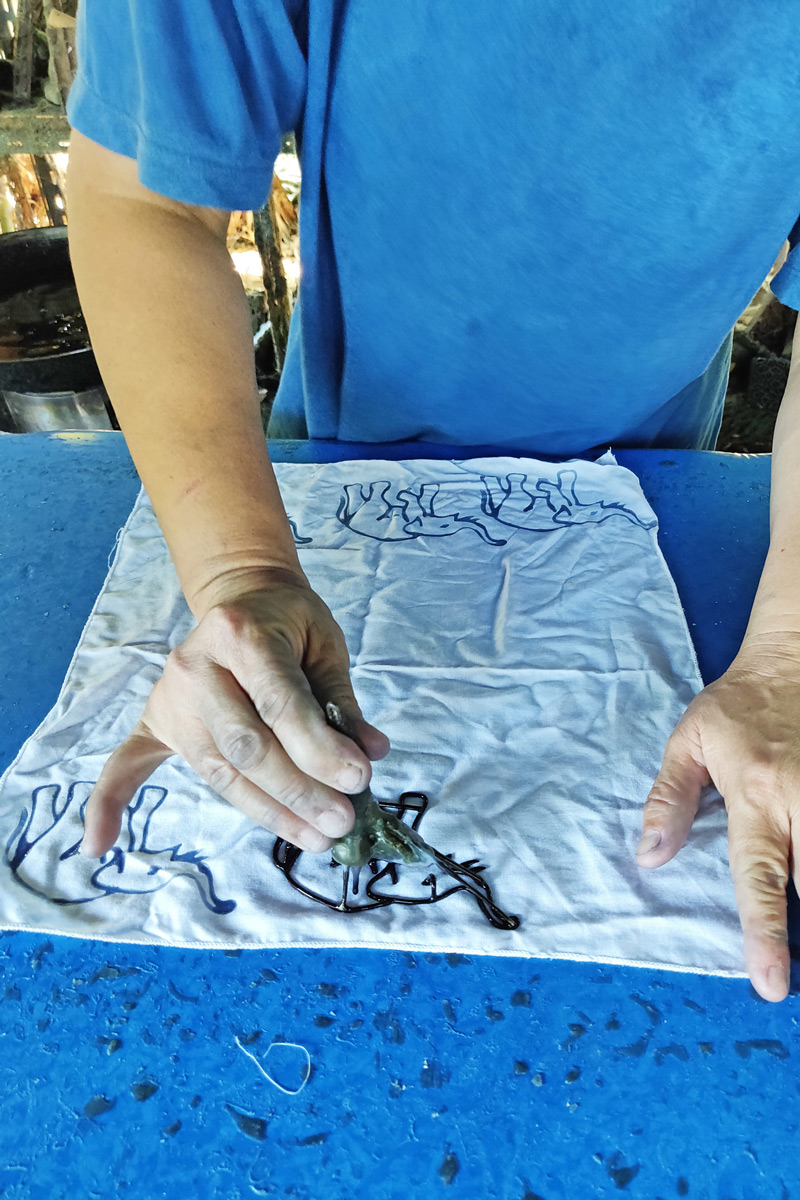 teinture indigo en Thailande