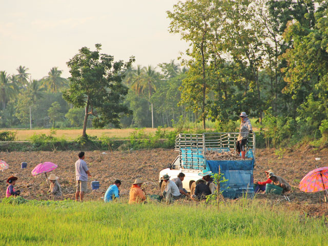 Cité historique de Sukhothai