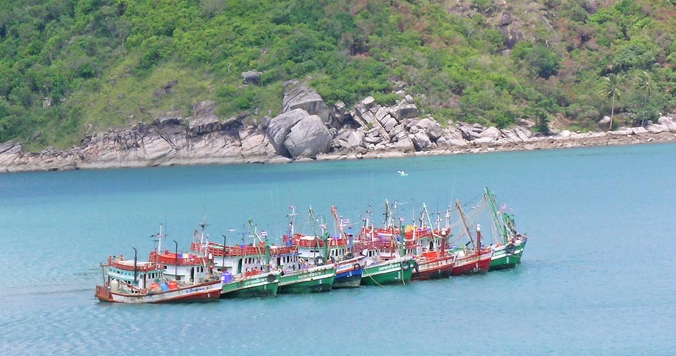 bateaux de pêche Koh Phangan