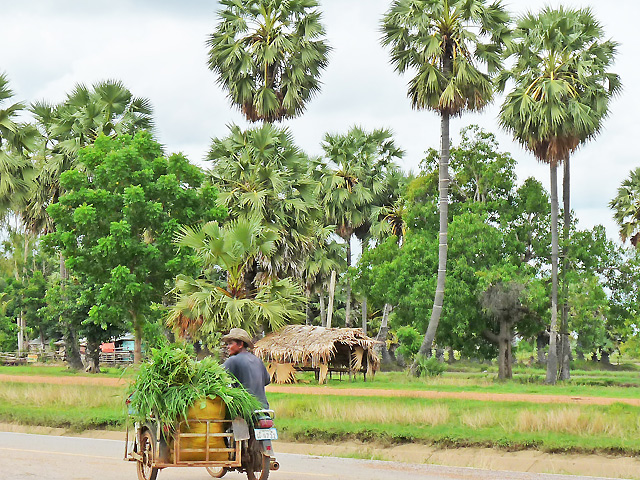 scène rurale thailande