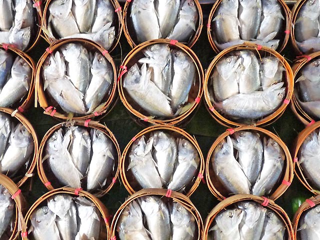 poissons marché thailande