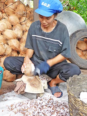 noix de coco thailande