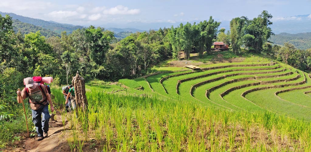 trek en montagne en thailande