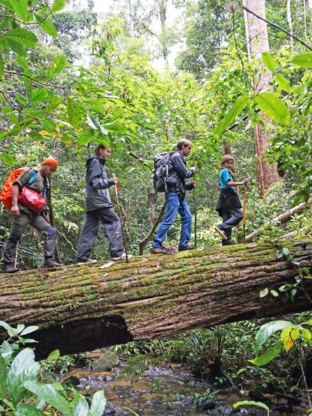 randonneurs dans le parc naturel de Doi Inthanon en Thailande