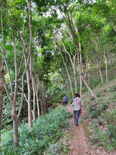 Randonnées et treks en thailande