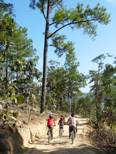 balade à VTT dans le parc national Doi Inthanon